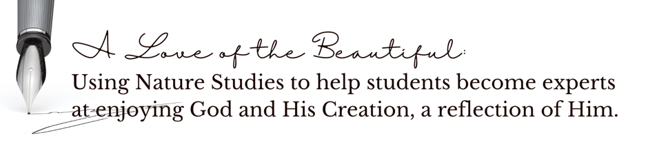 A Love of the Beautiful: Nature Studies