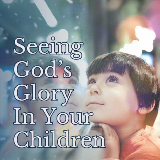 Seeing God’s Glory Info